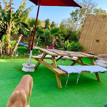 Bed and Breakfast Surf & Salsa Ocean House Tamraght Exterior foto