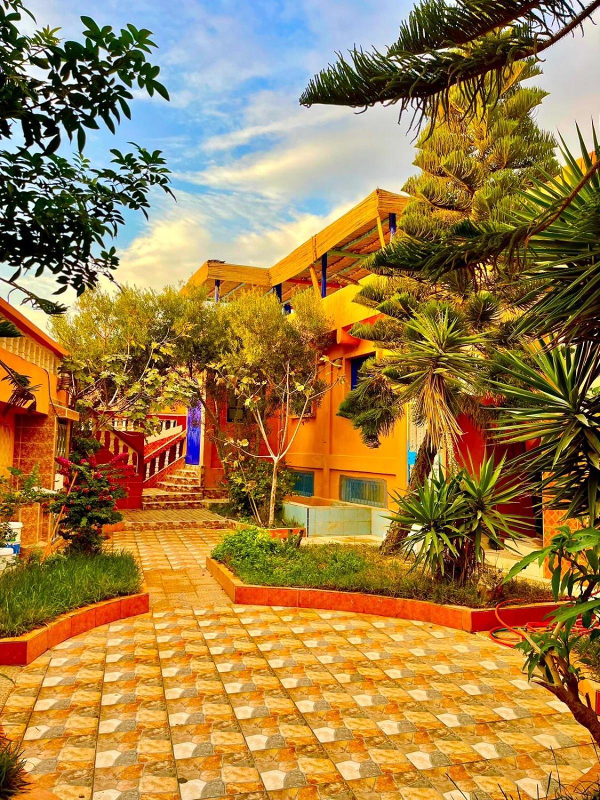 Bed and Breakfast Surf & Salsa Ocean House Tamraght Exterior foto